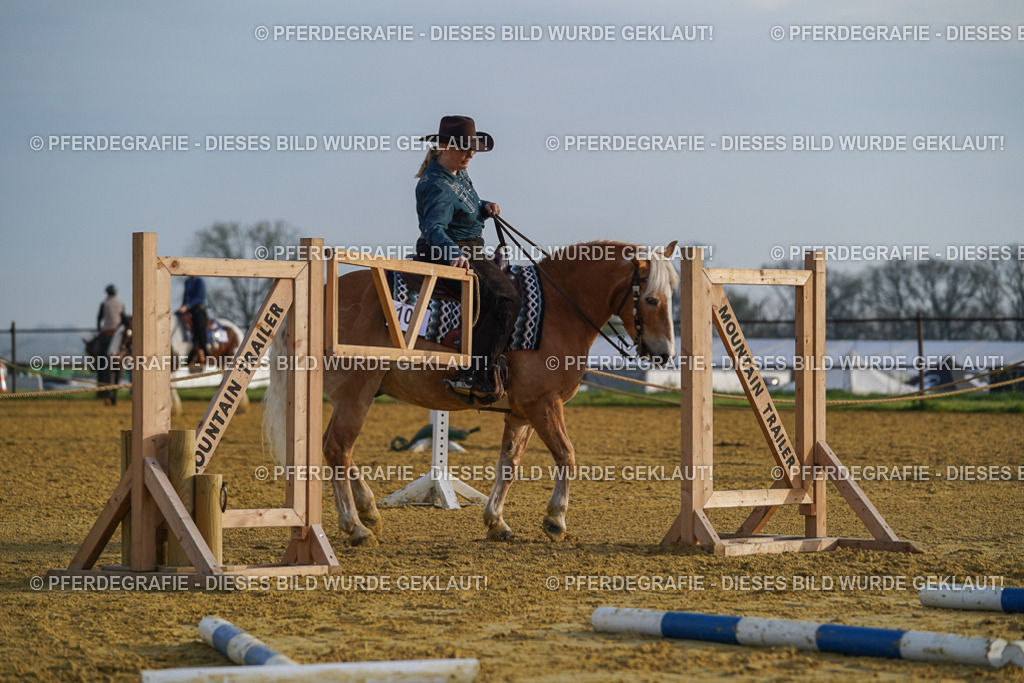 DSC00382 | Pferdegrafie