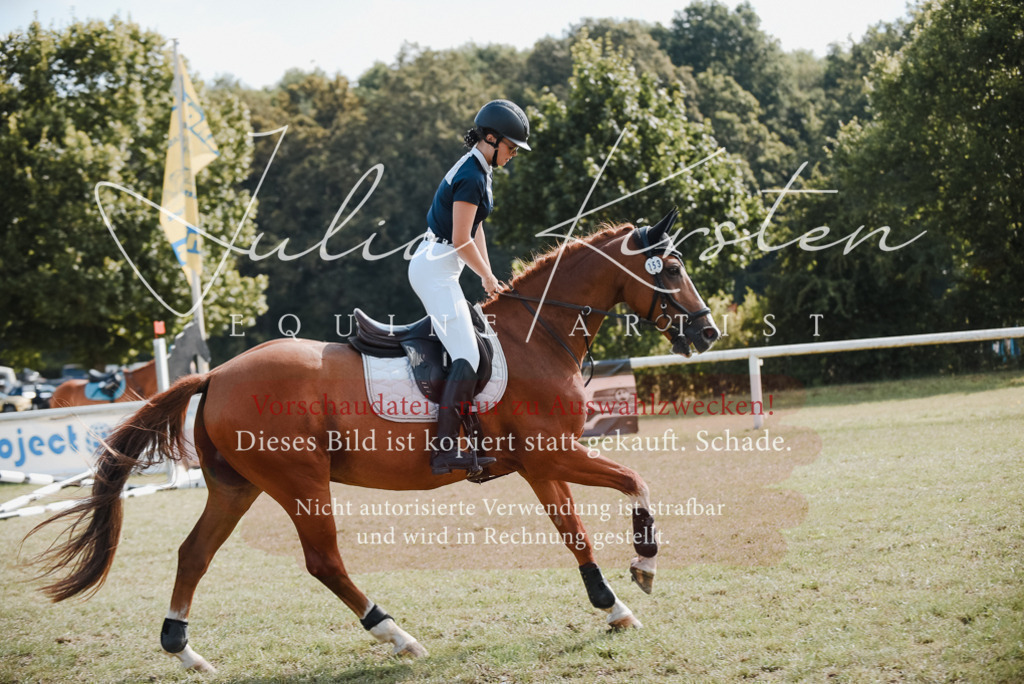 DSC_5346 | Pferde- und Turnierfotografie in Westsachsen. Pferdeportraits, Auftragszeichnungen und intuitive Kunst.
