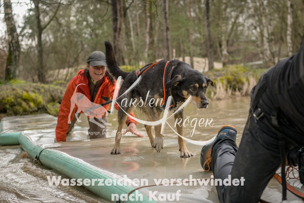 1338_ZZ90286-Bearbeitet | kk-dogfotos