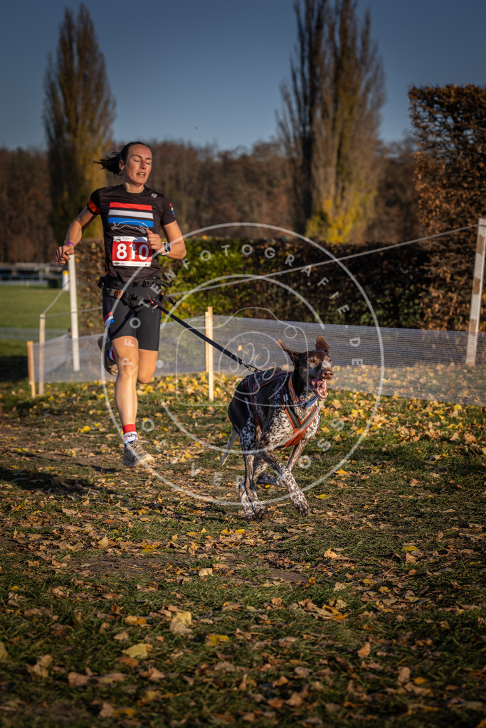 CaniXpix_DV3A3035 | Hundefotografie, Tierfotograf, Pfotenfotografie, Fotoshooting Hund, Hunde Portrait, Hundesport, Hundeportraits, Heideshooting, Hunde, Sportfotograf, Hundefotograf, Turnierhundsport, THS,  - Realisiert mit Pictrs.com
