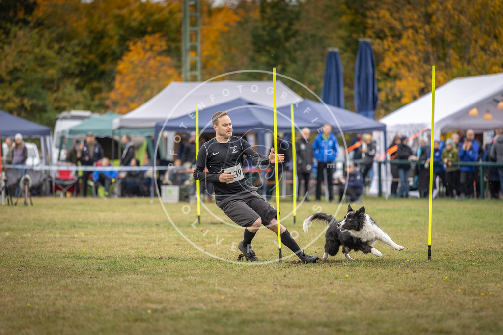 Pfotenfotografie_DV3A8284 | Hundefotografie, Tierfotograf, Pfotenfotografie, Fotoshooting Hund, Hunde Portrait, Hundesport, Hundeportraits, Heideshooting, Hunde, Sportfotograf, Hundefotograf, Turnierhundsport, THS,  - Realisiert mit Pictrs.com