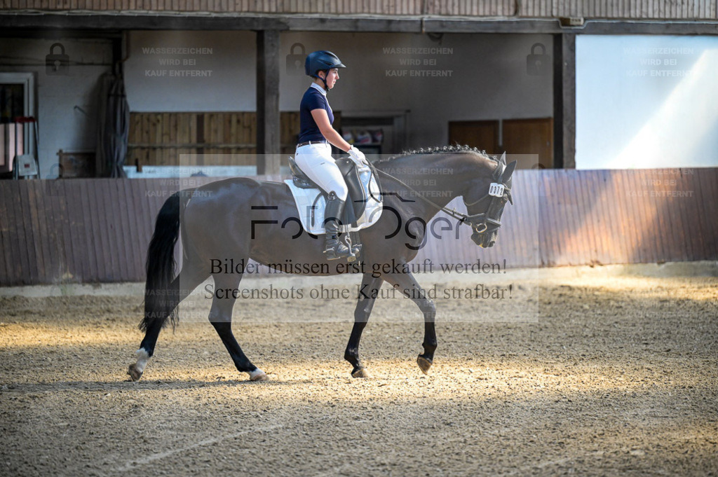 Reitturnier Voxtrup | Entdecke hochwertige Reitturnierfotos von Foto Oger. Professionell, emotional und authentisch – jetzt Lieblingsmomente im Shop bestellen. - Realisiert mit Pictrs.com