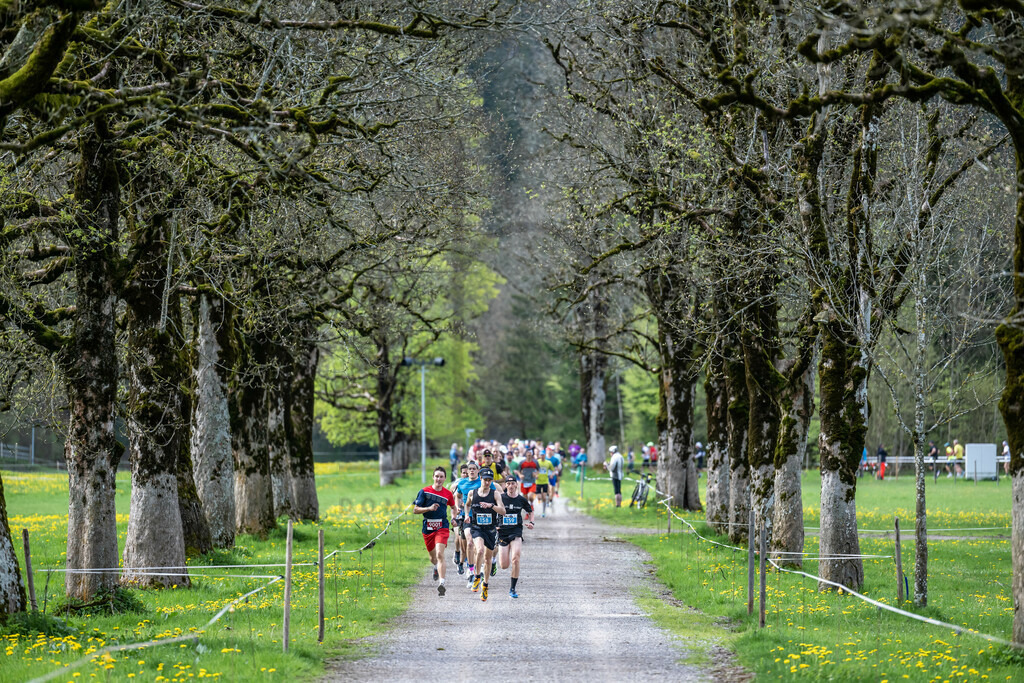 Oberstdorfer Gebirgstälerhalbmarathon | Oberstdorfer Gebirgstälerhalbmarathon am 07.05.2023 in Oberstdorf. 



(Foto: Dominik Berchtold)

B-IS SPO