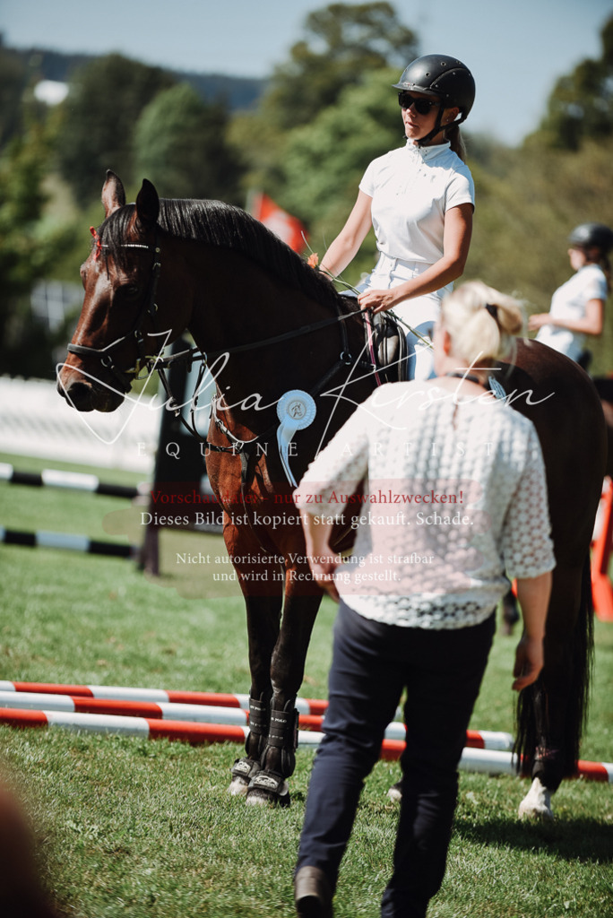 DSC_3342 | Pferde- und Turnierfotografie in Westsachsen. Pferdeportraits, Auftragszeichnungen und intuitive Kunst.