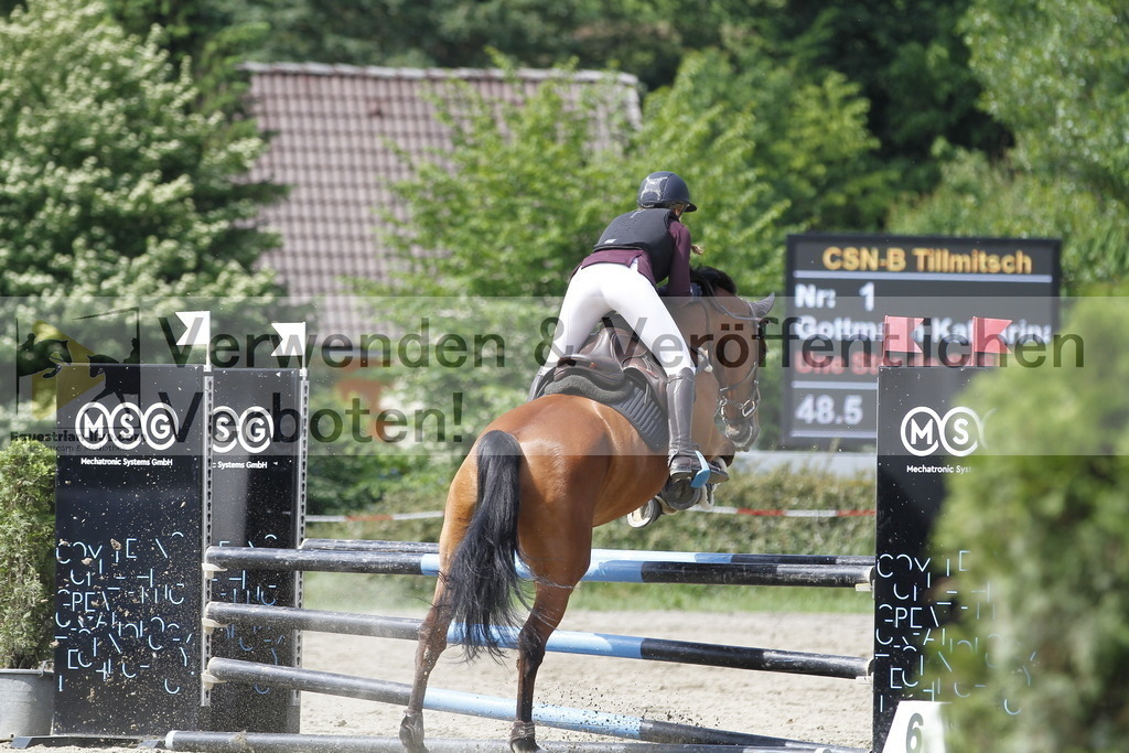 _MG_0621 | equestrian-live-com