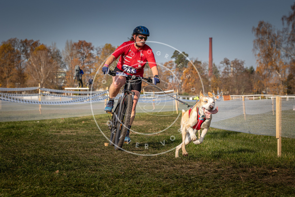 CaniXpix_0L8A7808 | Hundefotografie, Tierfotograf, Pfotenfotografie, Fotoshooting Hund, Hunde Portrait, Hundesport, Hundeportraits, Heideshooting, Hunde, Sportfotograf, Hundefotograf, Turnierhundsport, THS,  - Realisiert mit Pictrs.com
