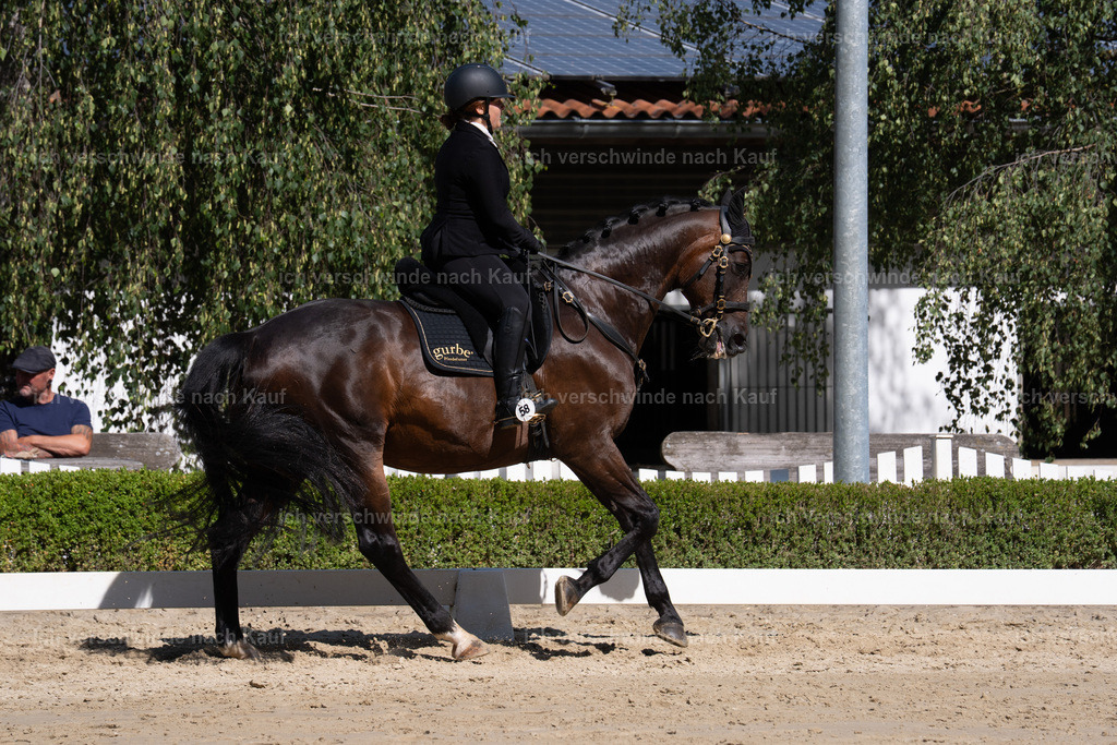 WL_DR_58_sinafilmart_IN07029 | working equitationturnier fotograf videograf stoibphotography marixx film working equitation deutschland reitsport turnierfotografie eventfotografie equestrian events