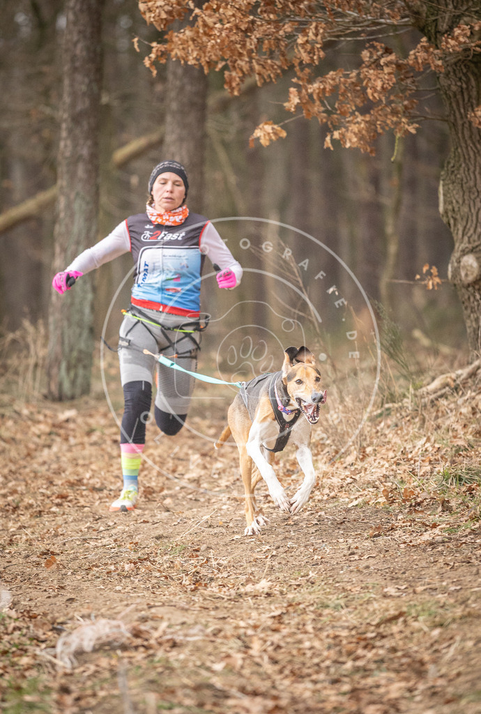 Pfotenfotografie_DV3A4976 | Hundefotografie, Tierfotograf, Pfotenfotografie, Fotoshooting Hund, Hunde Portrait, Hundesport, Hundeportraits, Heideshooting, Hunde, Sportfotograf, Hundefotograf, Turnierhundsport, THS,  - Realisiert mit Pictrs.com