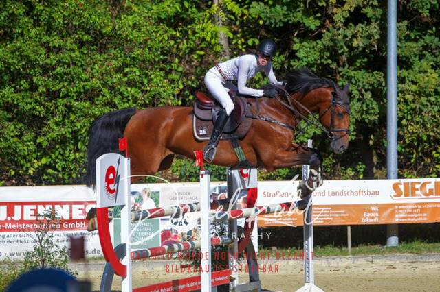 DKP43495 | Turniersportfotografie; Pferdefotografie; Dressurfotografie