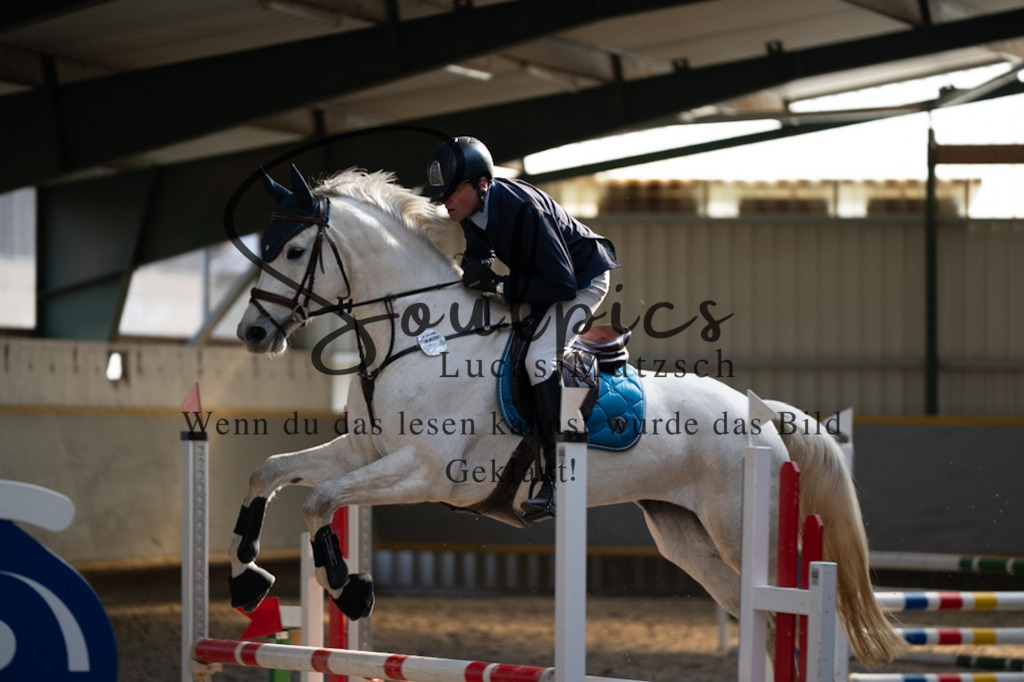 A7V07752 | Pferdefotograf