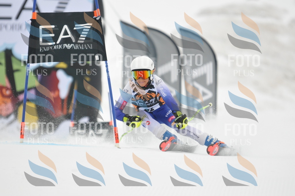 DSC_7987 | holidayphoto