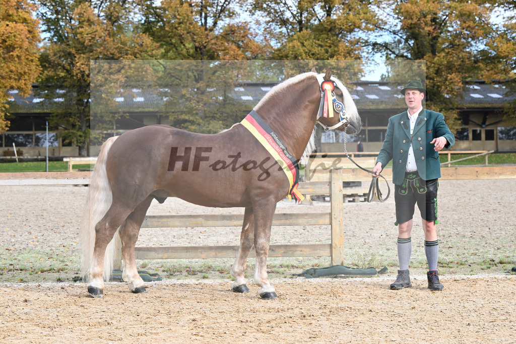 Kat-Nr. 90 Venturin_Hollinger u Ober_53223100 | hf-fotografie - Realisiert mit Pictrs.com
