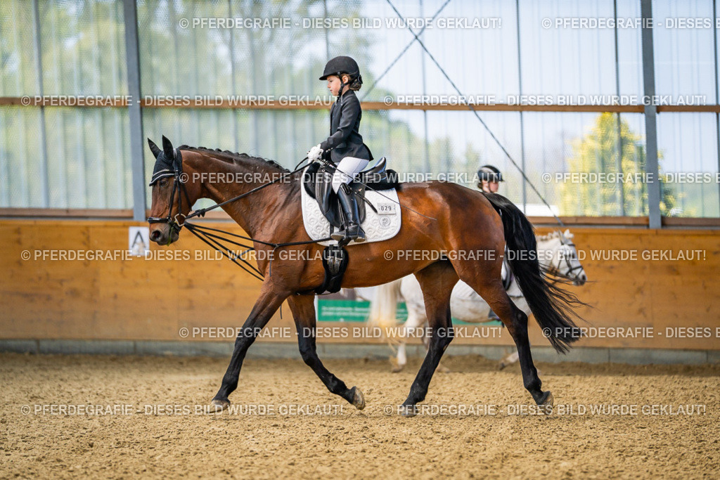 DSC02474 | Pferdegrafie