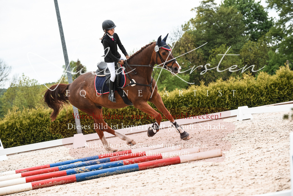 20230518_JK-Röhrsdorf-10-455 | Pferde- und Turnierfotografie in Westsachsen. Pferdeportraits, Auftragszeichnungen und intuitive Kunst.