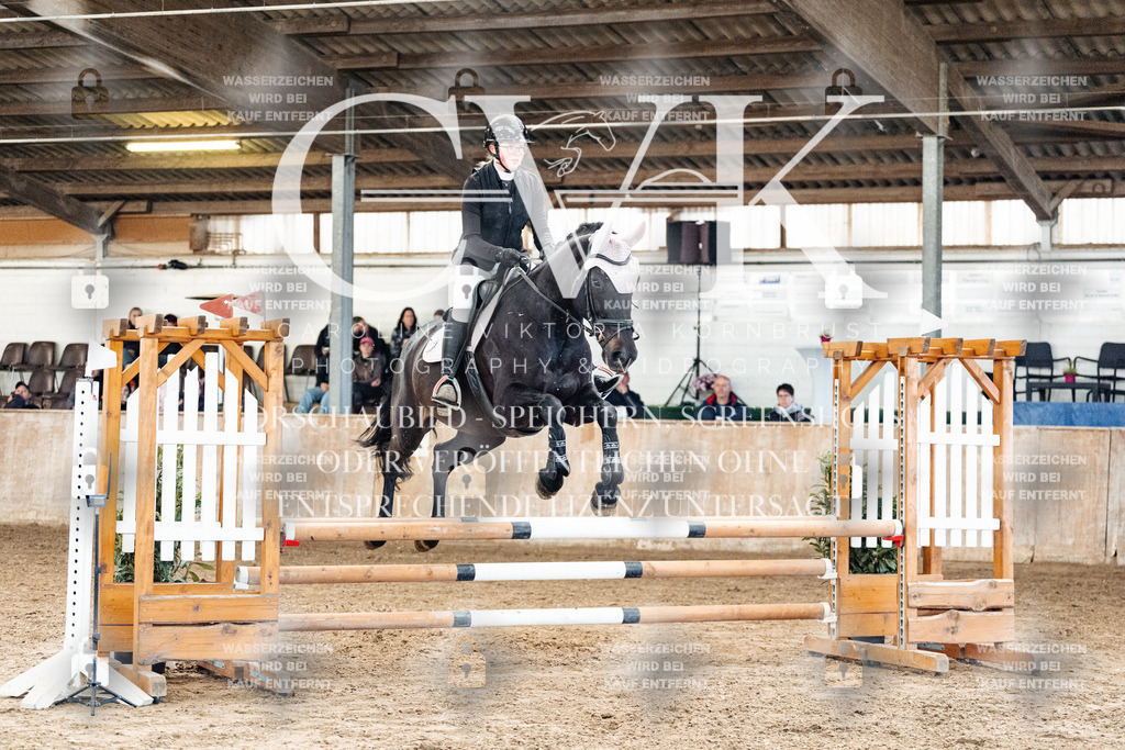 CK904506 | Turnierfotografie Pferdefotografie Trier Rheinland-Pfalz Pferdesport Reitsport Tierfotografie Sportfotografie Pferdevideo Pferdevideografie Equestrianvideography equestrianphotography  - Realized with Pictrs.com