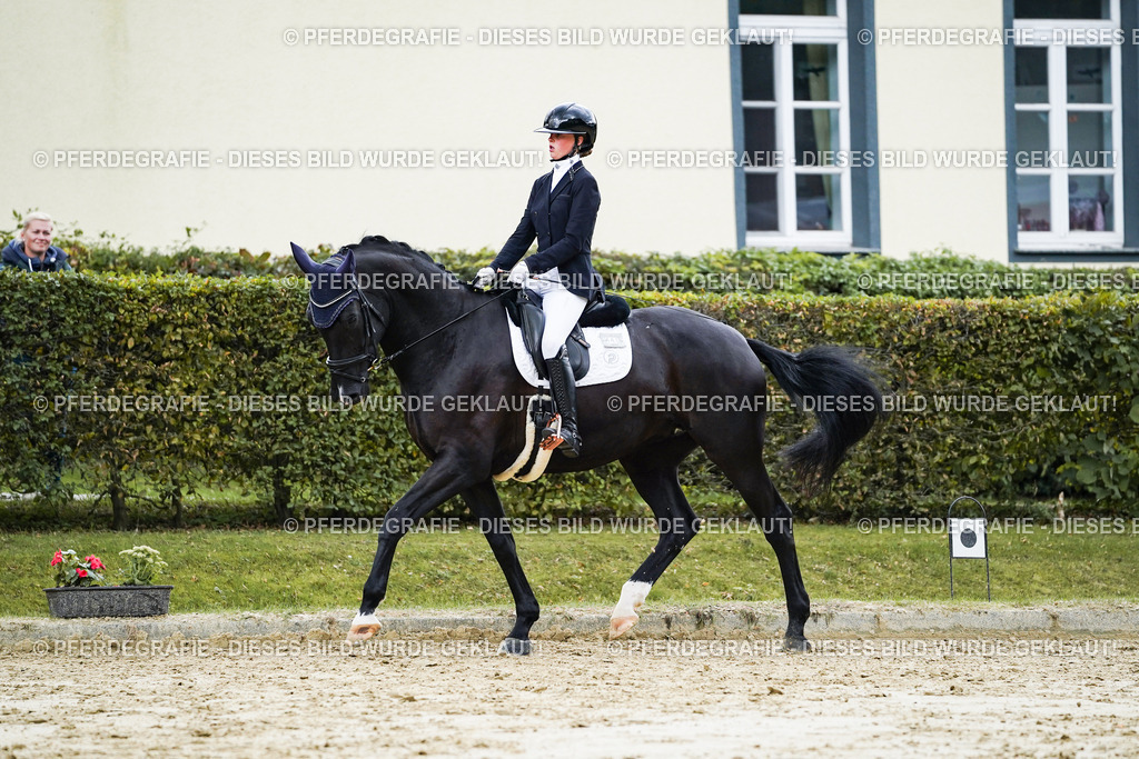 DSC06516 | Pferdegrafie