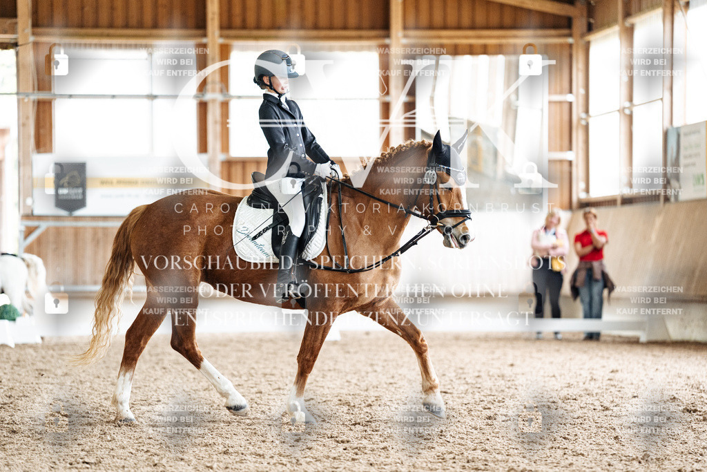 CK900817 | Turnierfotografie Pferdefotografie Trier Rheinland-Pfalz Pferdesport Reitsport Tierfotografie Sportfotografie Pferdevideo Pferdevideografie Equestrianvideography equestrianphotography  - Realisiert mit Pictrs.com
