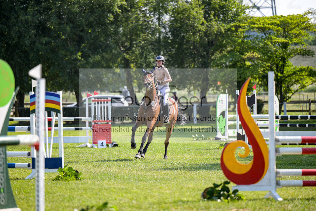 Reitturnier Voxtrup | Entdecke hochwertige Reitturnierfotos von Foto Oger. Professionell, emotional und authentisch – jetzt Lieblingsmomente im Shop bestellen. - Realisiert mit Pictrs.com