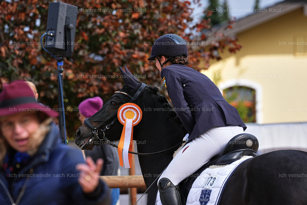 02-Siegerehrung-DRESSUR L_  -StoibPH-4672 | working equitationturnier fotograf videograf stoibphotography marixx film working equitation deutschland reitsport turnierfotografie eventfotografie equestrian events