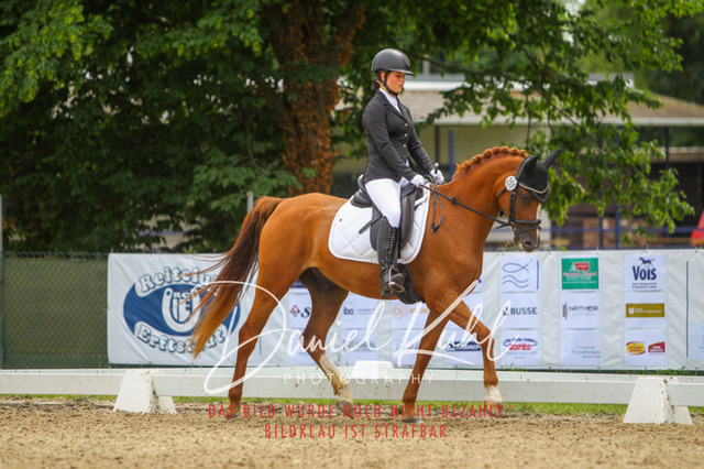 DKP42319 | Turniersportfotografie; Pferdefotografie; Dressurfotografie