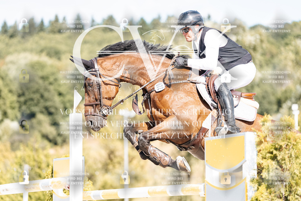 CK909076 | Turnierfotografie Pferdefotografie Trier Rheinland-Pfalz Pferdesport Reitsport Tierfotografie Sportfotografie Pferdevideo Pferdevideografie Equestrianvideography equestrianphotography  - Realisiert mit Pictrs.com