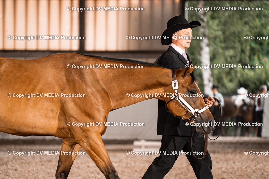 ZH200116 | dv-media-shop - Realisiert mit Pictrs.com