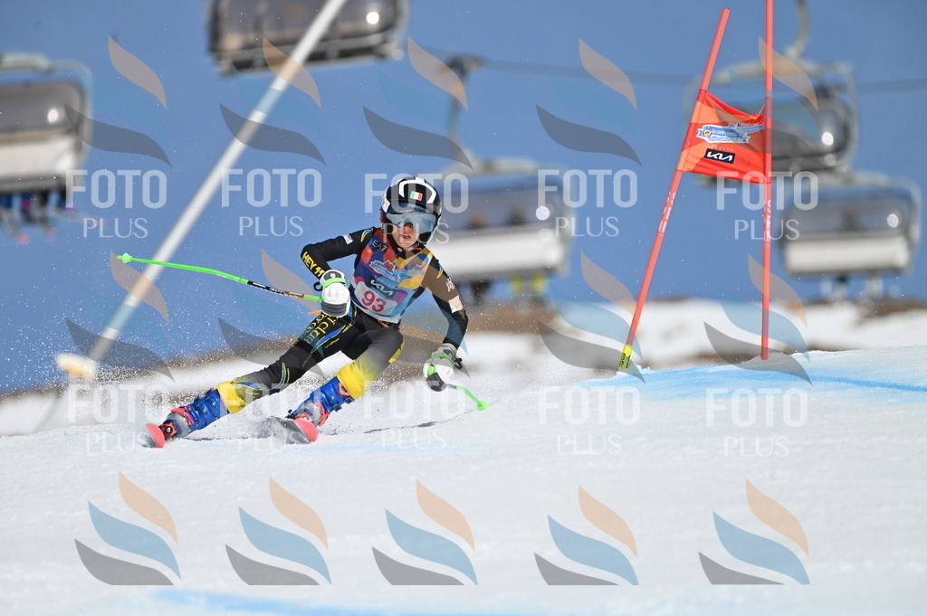 BGV_9307 | holidayphoto