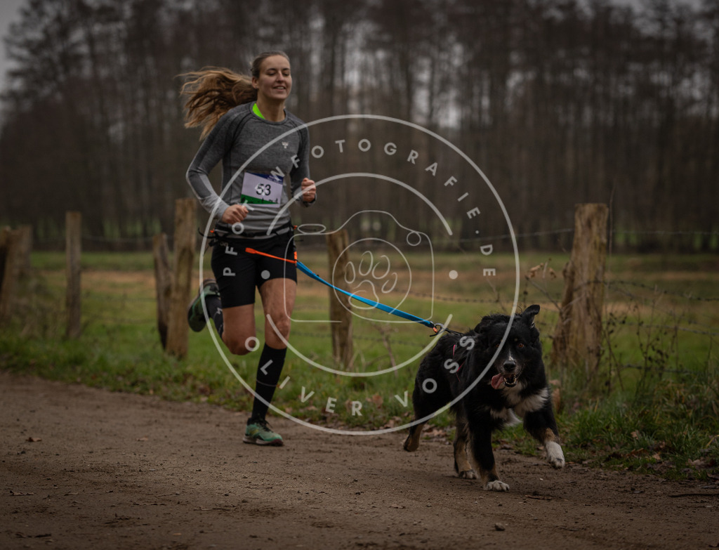 Pfotenfotografie_DV3A2951 | Hundefotografie, Tierfotograf, Pfotenfotografie, Fotoshooting Hund, Hunde Portrait, Hundesport, Hundeportraits, Heideshooting, Hunde, Sportfotograf, Hundefotograf, Turnierhundsport, THS,  - Realisiert mit Pictrs.com