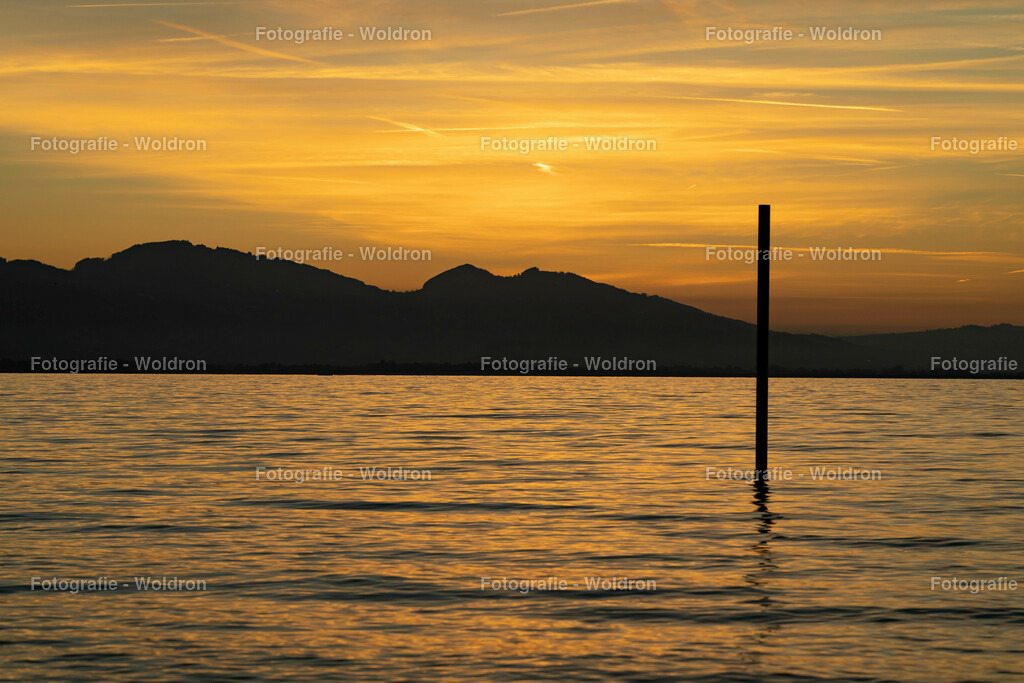 20221109 Bregenz Bodensee-10 | Fotografie Woldron