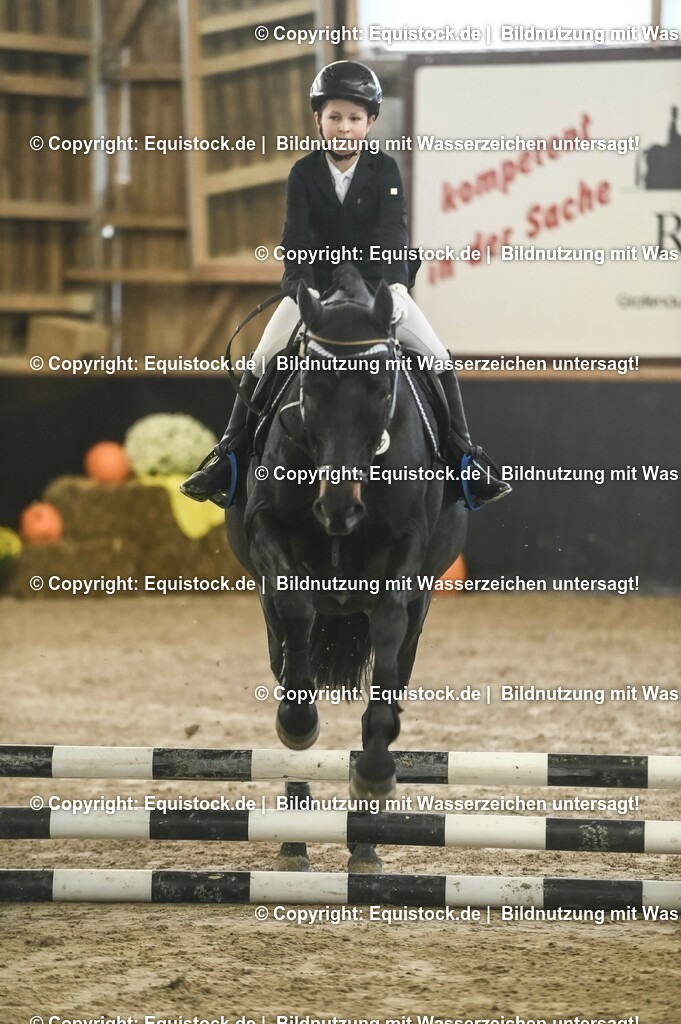 20231029_07_Stilspring-WB-50cm_0043 | Foto: Thomas Hartig