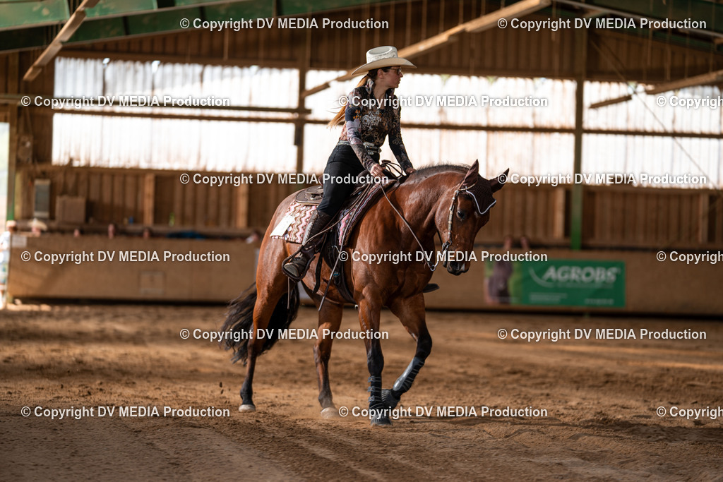 Balingen Tag 2-1420 | dv-media-shop - Realisiert mit Pictrs.com