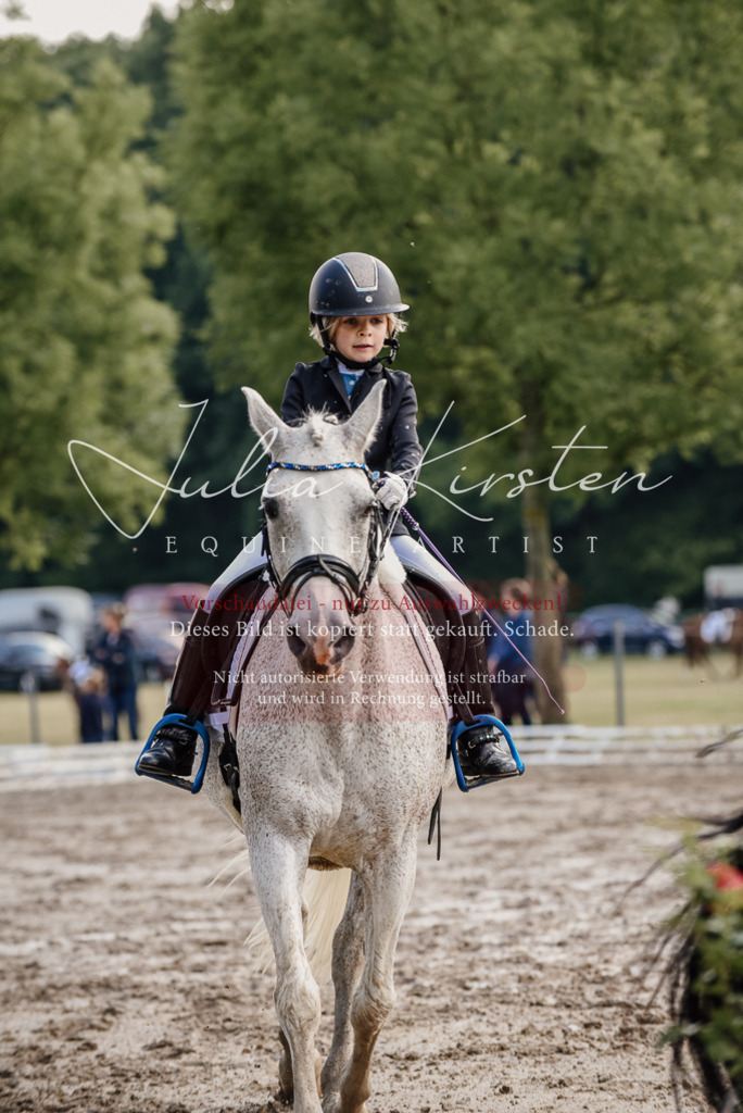 DSC_8334 | Pferde- und Turnierfotografie in Westsachsen. Pferdeportraits, Auftragszeichnungen und intuitive Kunst.