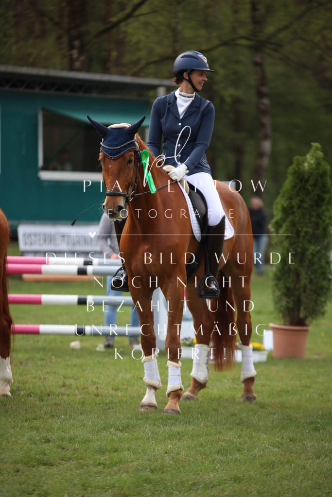 IMGT3453 | pl-fotografie