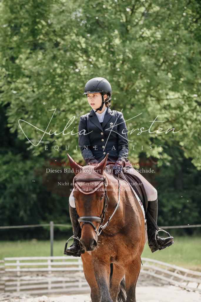 DSC_9648 | Pferde- und Turnierfotografie in Westsachsen. Pferdeportraits, Auftragszeichnungen und intuitive Kunst.