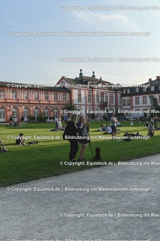 D78_3833 | equistock