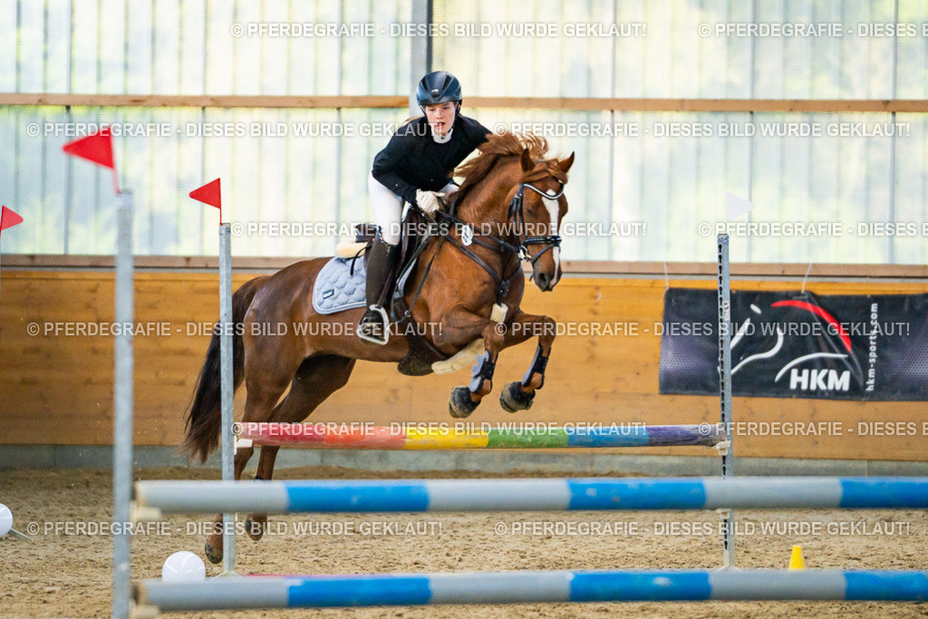 DSC00454 | Pferdegrafie