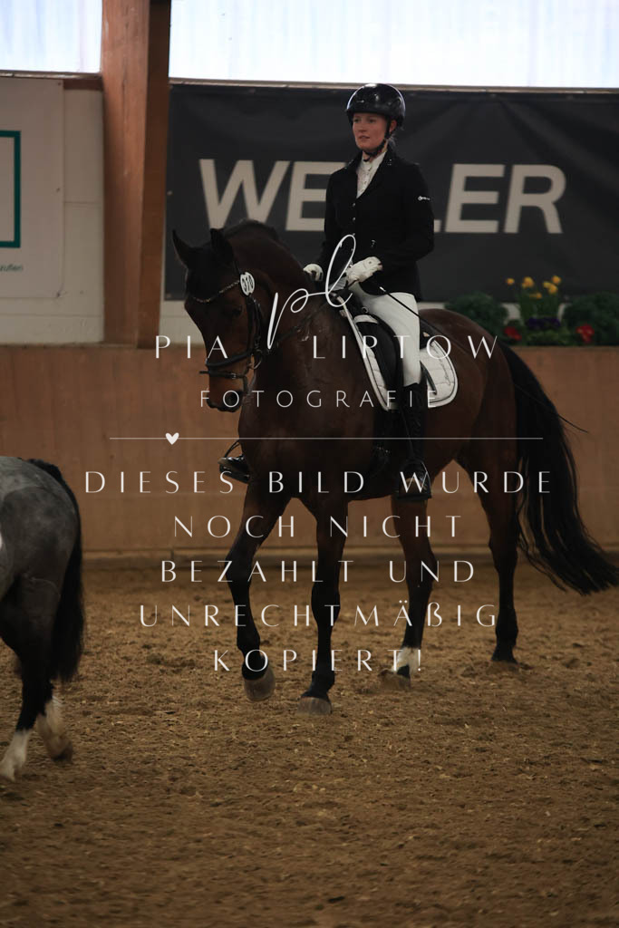 IMGT0979 | pl-fotografie