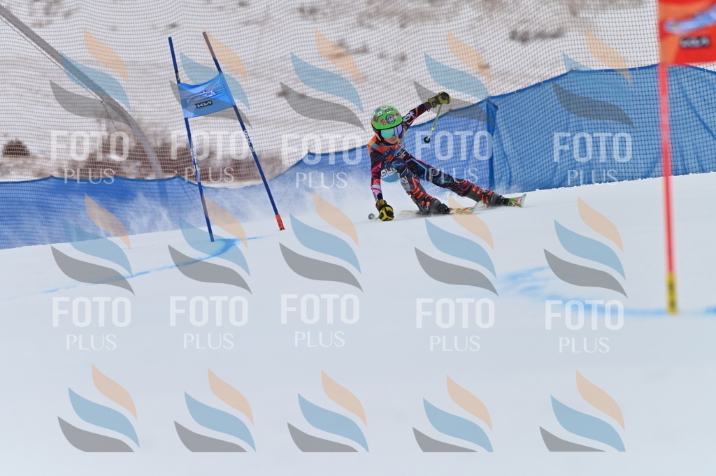 BGV_0331 | holidayphoto