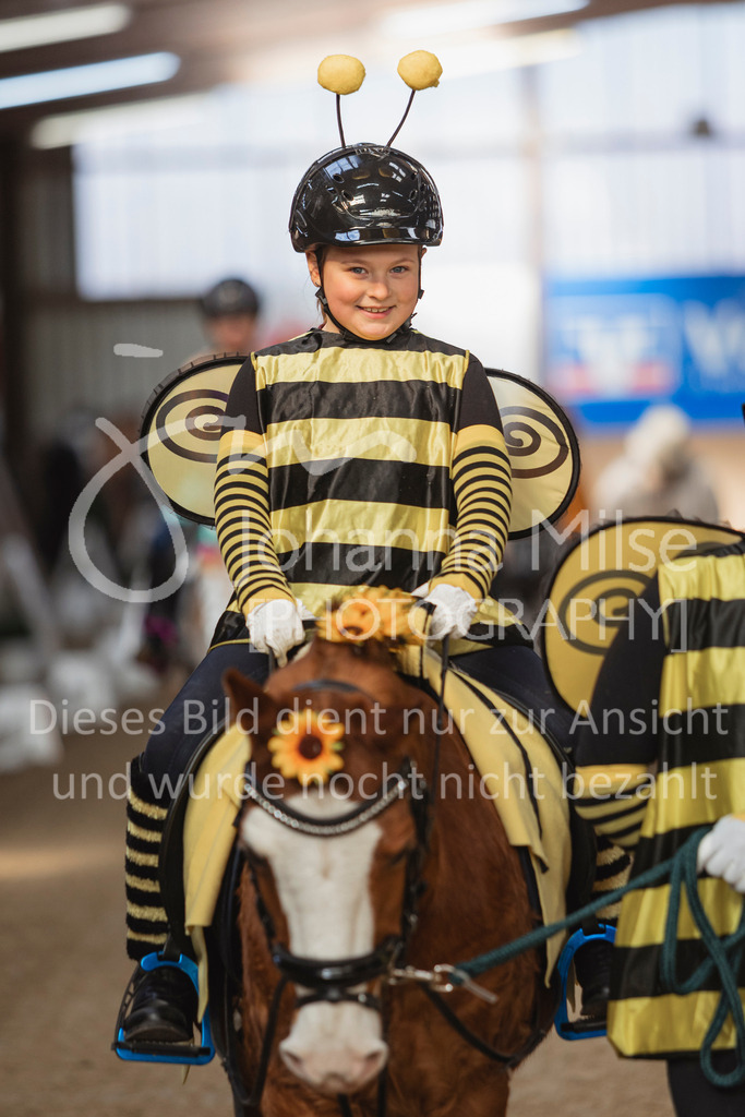 250316_HF-Schwm_Fuehrzuegel-107 | Deine schönsten Turniermomente als professionelle Fotos! Entdecke hochwertige Pferdesport-Fotografie im Online-Shop. Jetzt Fotos finden & bestellen!