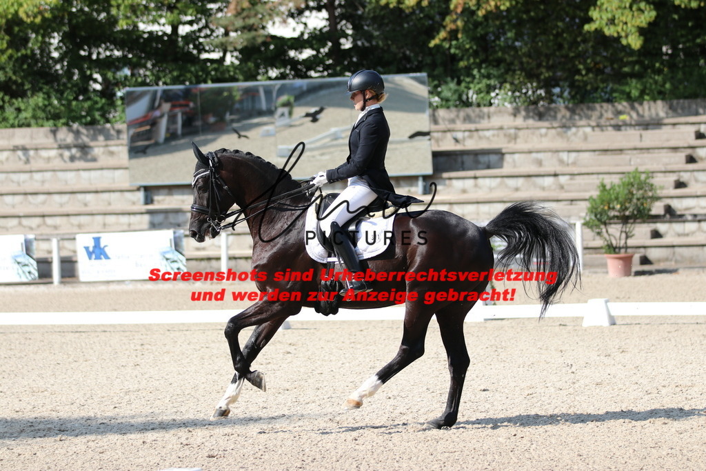 IMG_9249 | lmwpictures - Realisiert mit Pictrs.com