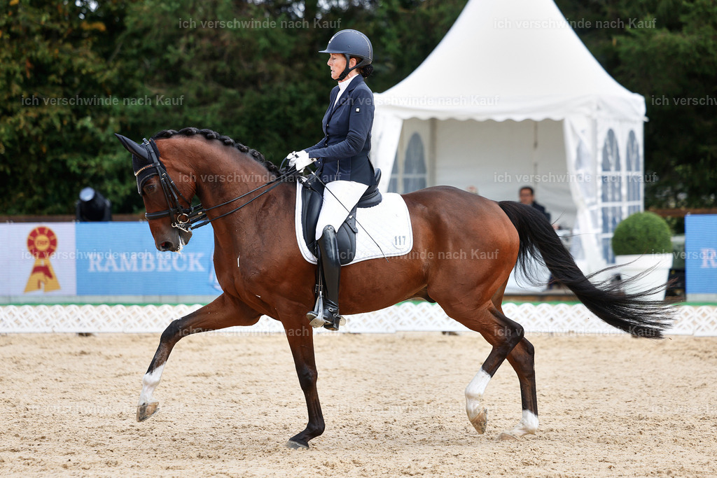 05-117-DRESSUR M_  -StoibPH-4938 | working equitationturnier fotograf videograf stoibphotography marixx film working equitation deutschland reitsport turnierfotografie eventfotografie equestrian events