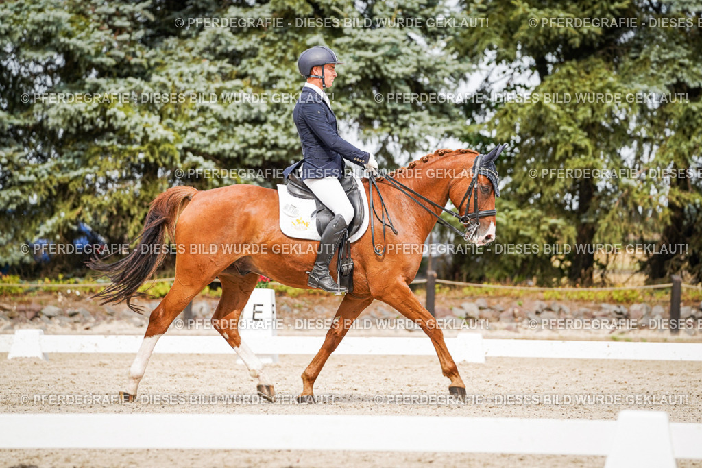 DSC06945 | Pferdegrafie