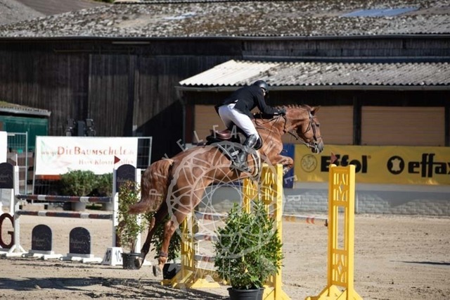 2B4A0598 | pixelfaenger - Realisiert mit Pictrs.com