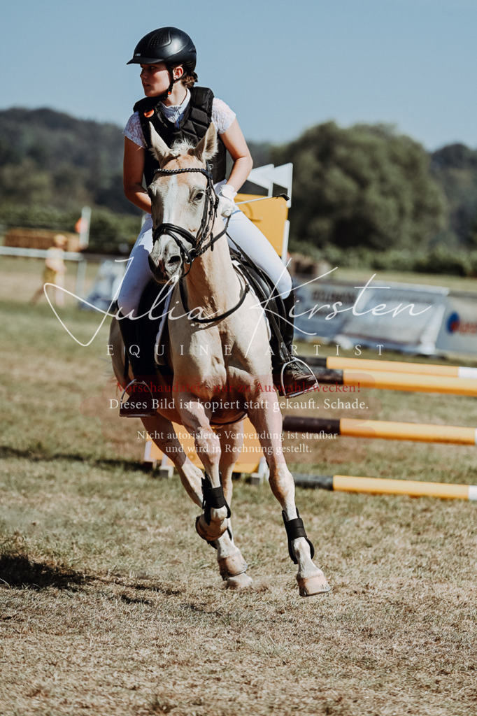 DSC_9922 | Pferde- und Turnierfotografie in Westsachsen. Pferdeportraits, Auftragszeichnungen und intuitive Kunst.