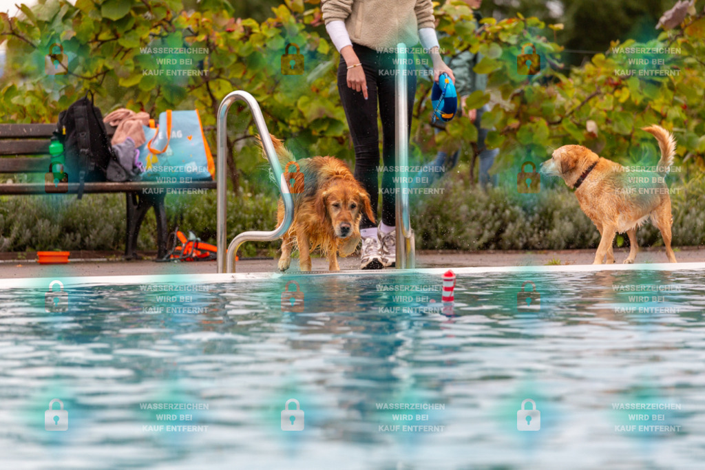 _HP_6114_1000o | HetPix, HetPix Fotodesign, Fotografie, Fotodesign, Webshop, Sportfotografie, Portraitfotografie, Onlineshop, Sportfotografie, Polch, Motorsportfotografie, Eventfotografie