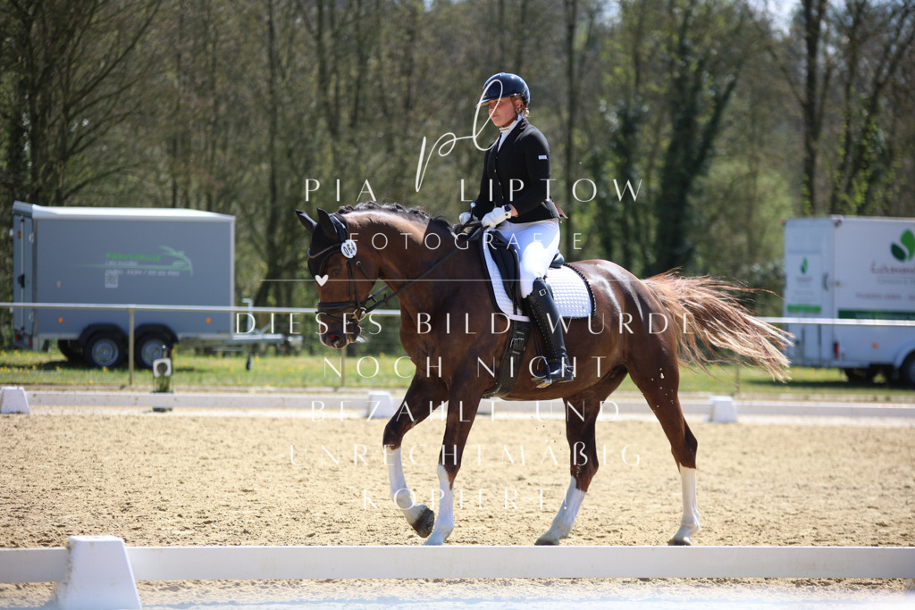 IMGT2610 | pl-fotografie