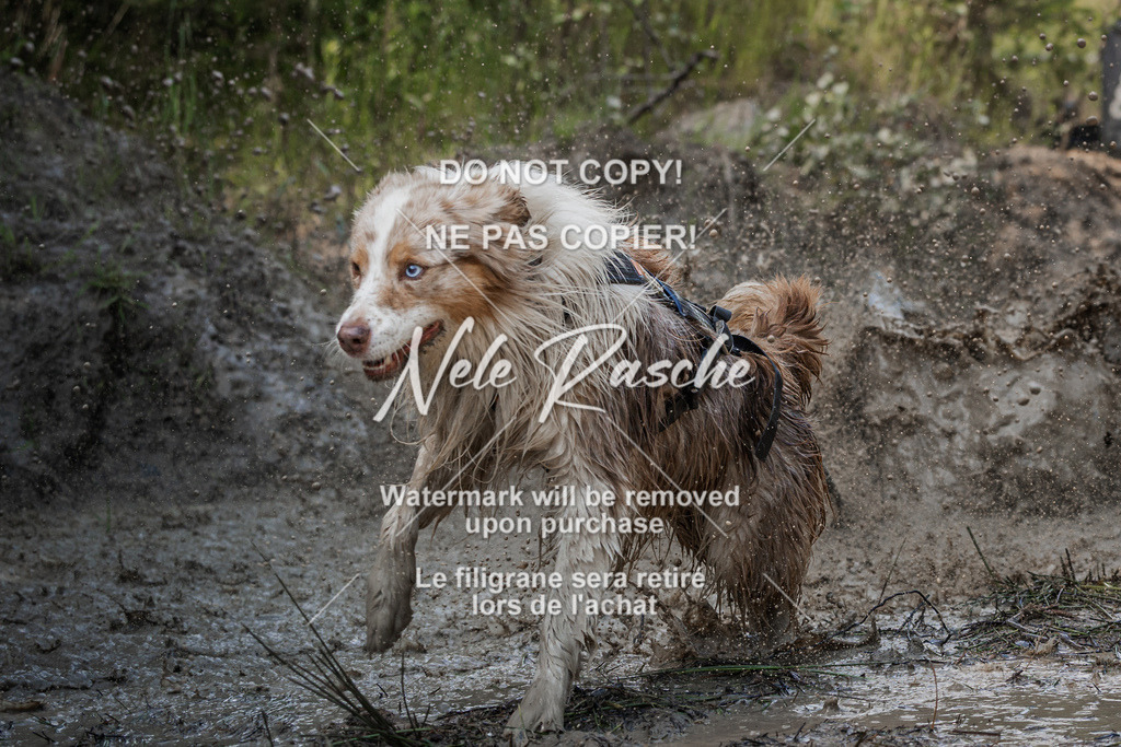 nelerasche_Hoope2026_Sa1500-1530_195 | nelerasche
