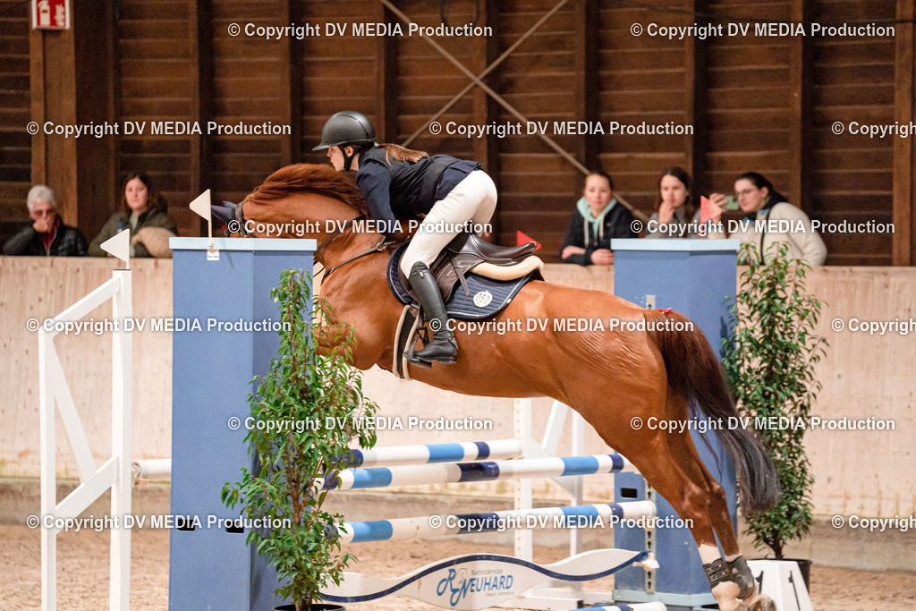 Springen Tag 2-087 | dv-media-shop - Realisiert mit Pictrs.com