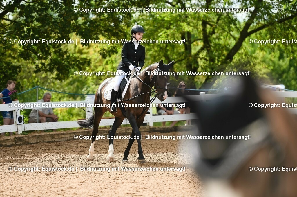 20230716_10-1_Reiter-WB Schritt - Trab - Galopp_0112 | equistock