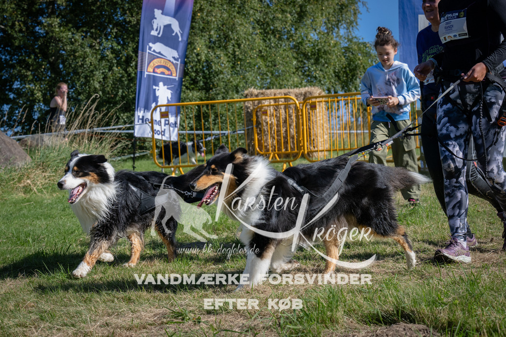 1006_ZZ97566 | kk-dogfotos